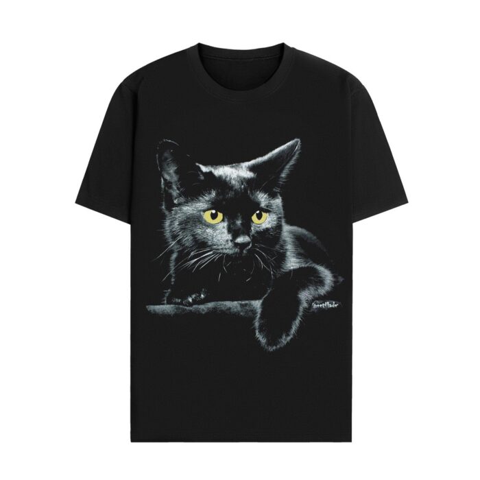 BLACK KITTEN - Image 2