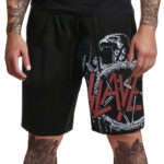 SLAYER EAGLE