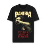 PANTERA VULGAR DISPLAY OF POWER - Image 2
